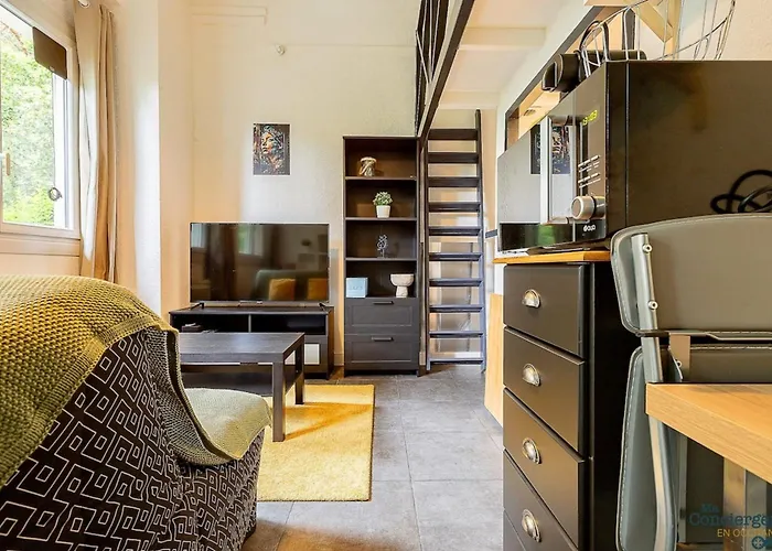 Platanes - St-michel - Proche Stadium Tfc - Metro Apartman Toulouse