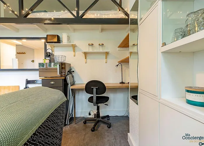 Apartman Platanes - St-michel - Proche Stadium Tfc - Metro Toulouse