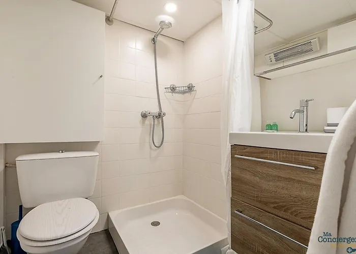 Platanes - St-michel - Proche Stadium Tfc - Metro * トゥールーズ